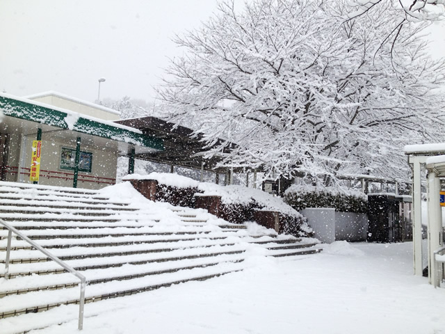 http://morimasaya.jp/2012/03/01/snow.jpg